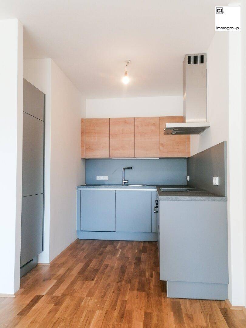 Moderne Einbauküche mit grauen und holzfarbenen Schränken sowie integrierten Geräten.