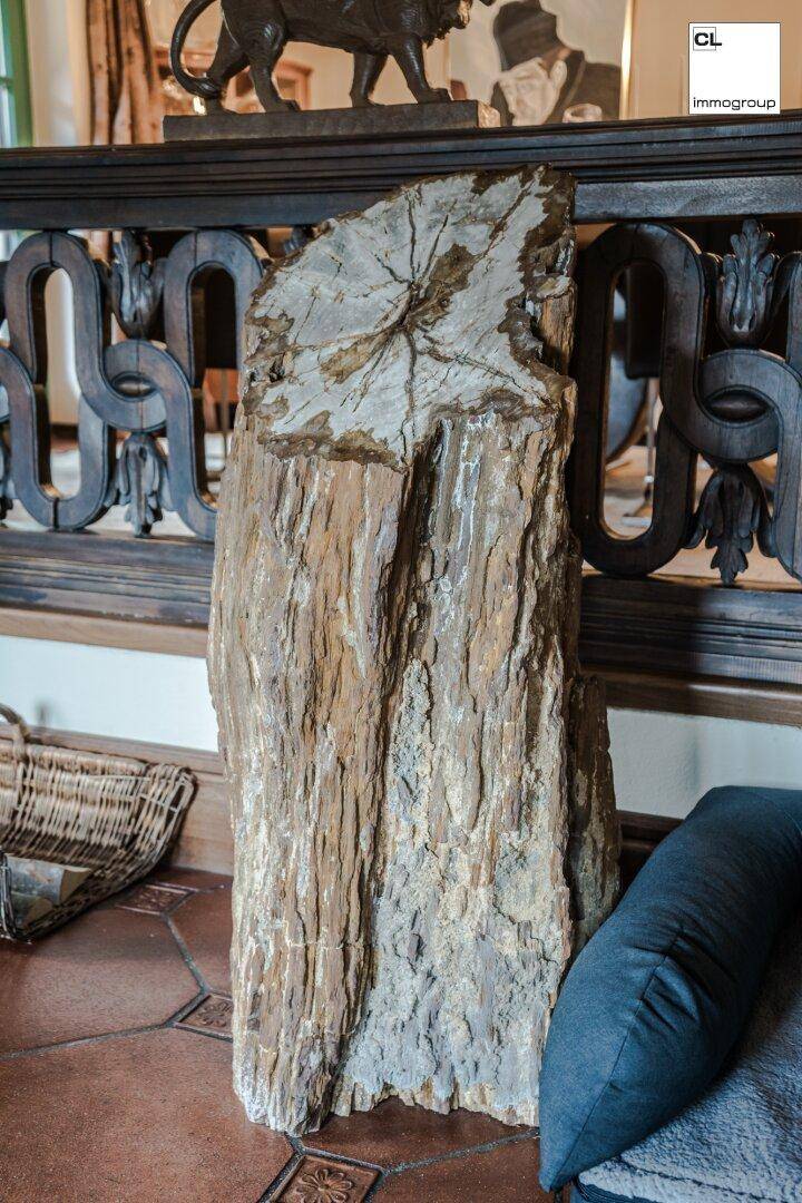 Haupthaus EG: versteinertes Holz