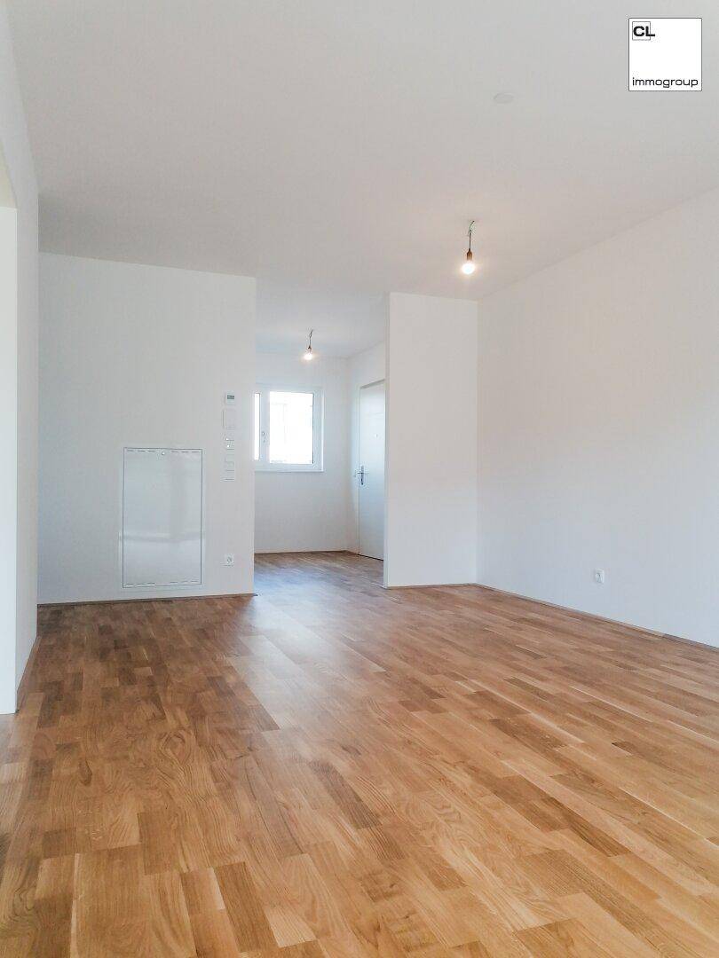Wohnbereich mit Blick in Richtung Vorraum