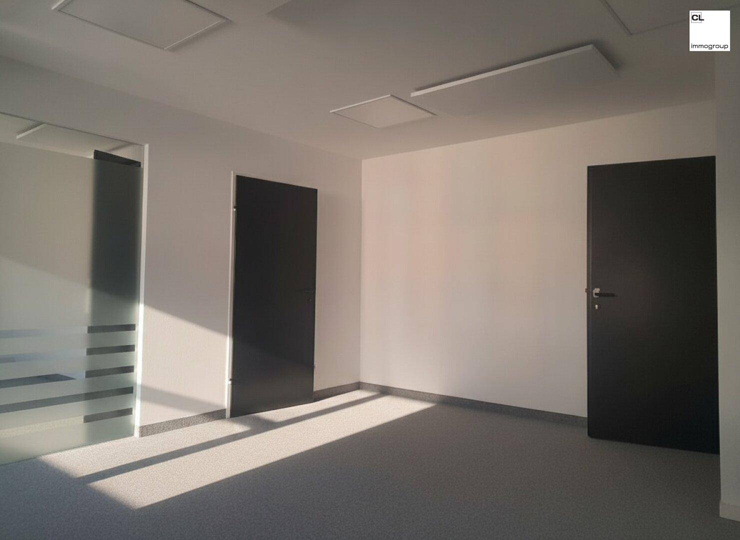 Leeres Büro mit Teppichboden, dunklen Türen und einer Glaswand, gut beleuchtet.