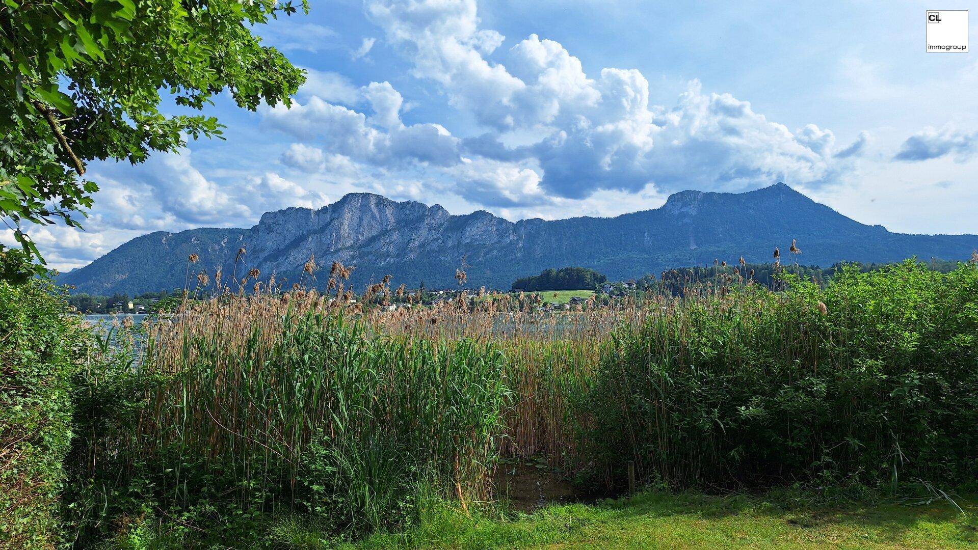 Idyllischer Blick auf den See durch Schilf und Büsche mit majestätischen Bergen im Hintergrund.