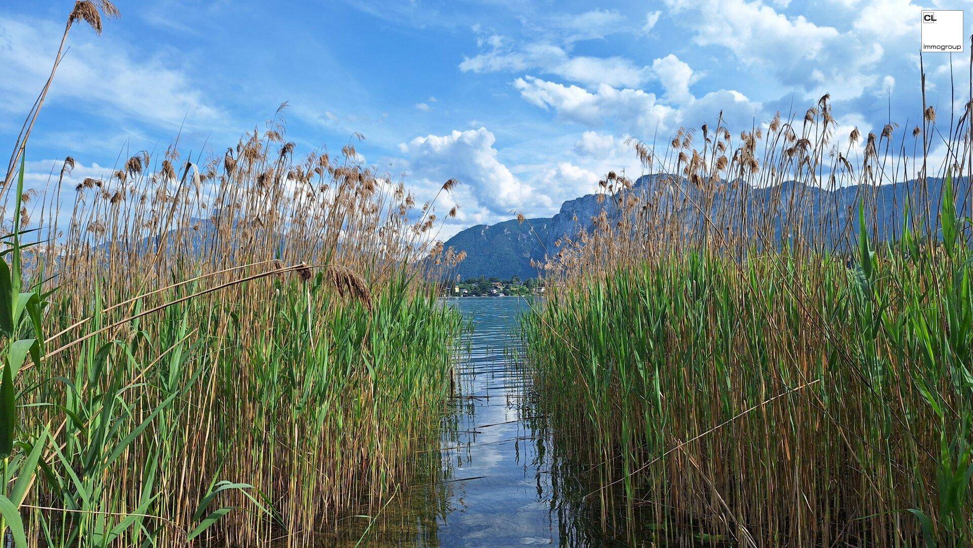 Schmaler Wasserweg durch dichtes Schilf, der sich zum offenen See und den Bergen öffnet.
