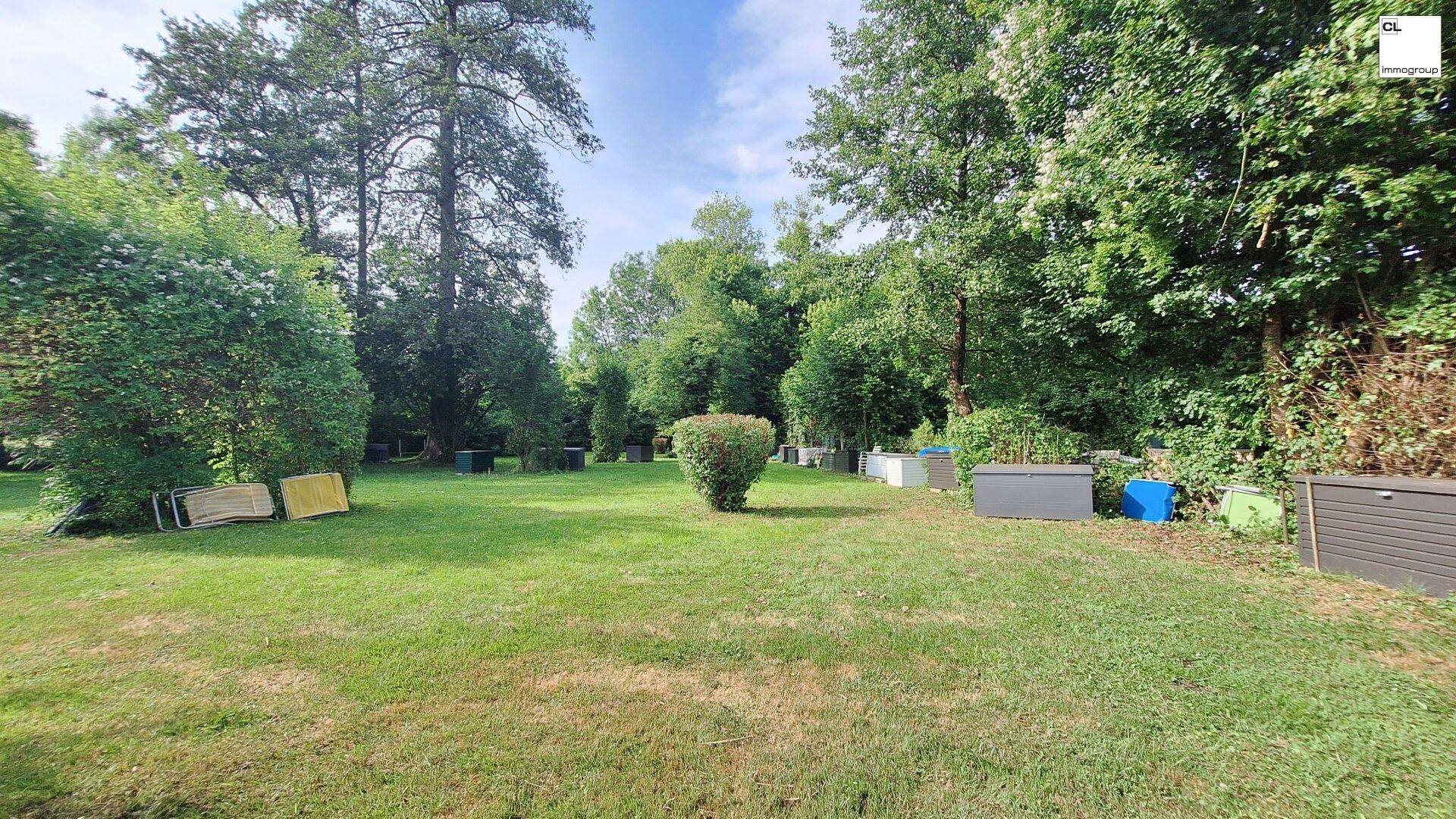 Weitläufige Grünfläche mit altem Baumbestand und verschiedenen Gartenboxen im Freien.