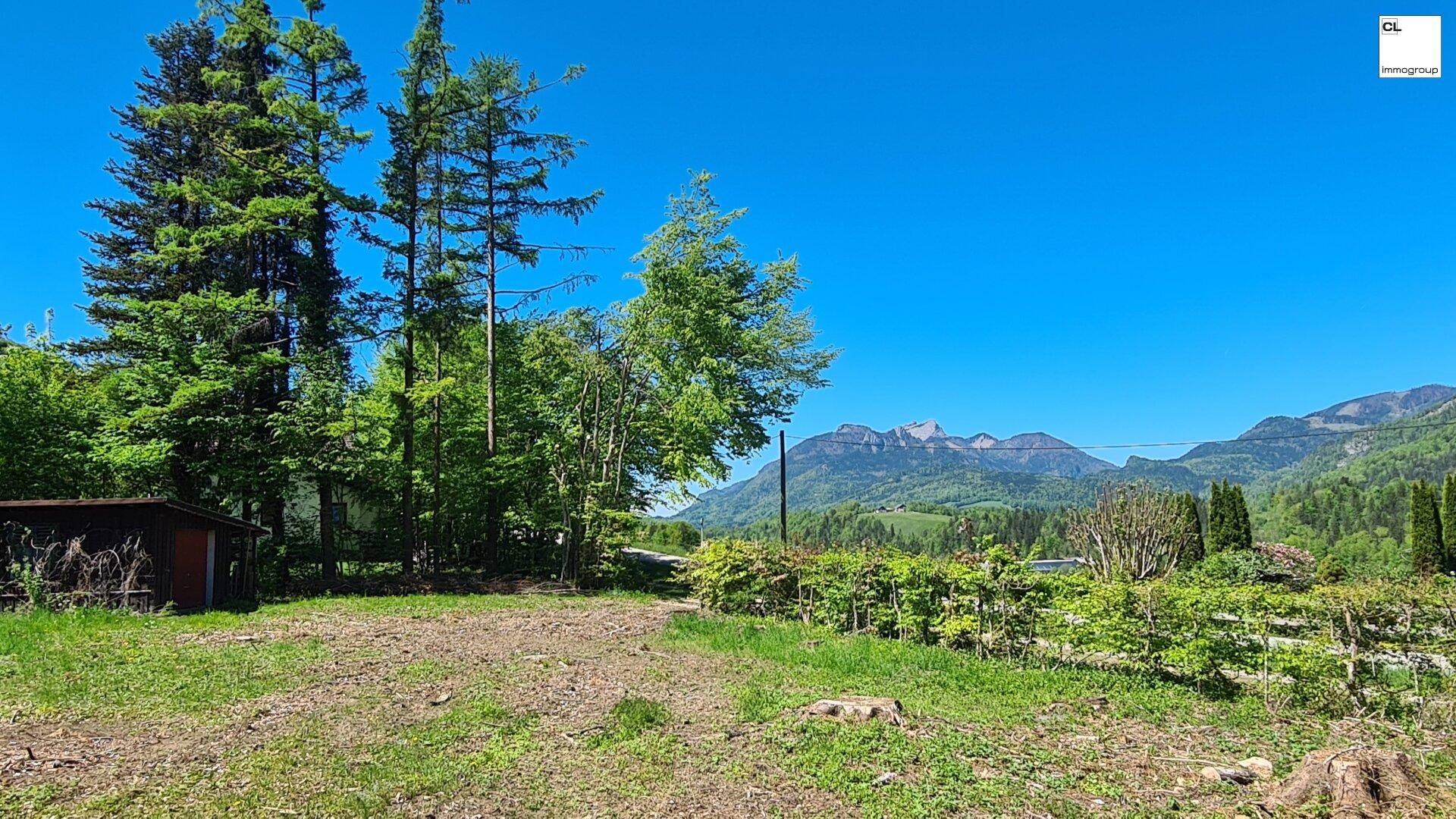 Weitläufiges Grundstück mit Bäumen und einem kleinen Schuppen, umgeben von grüner Natur und Bergen.