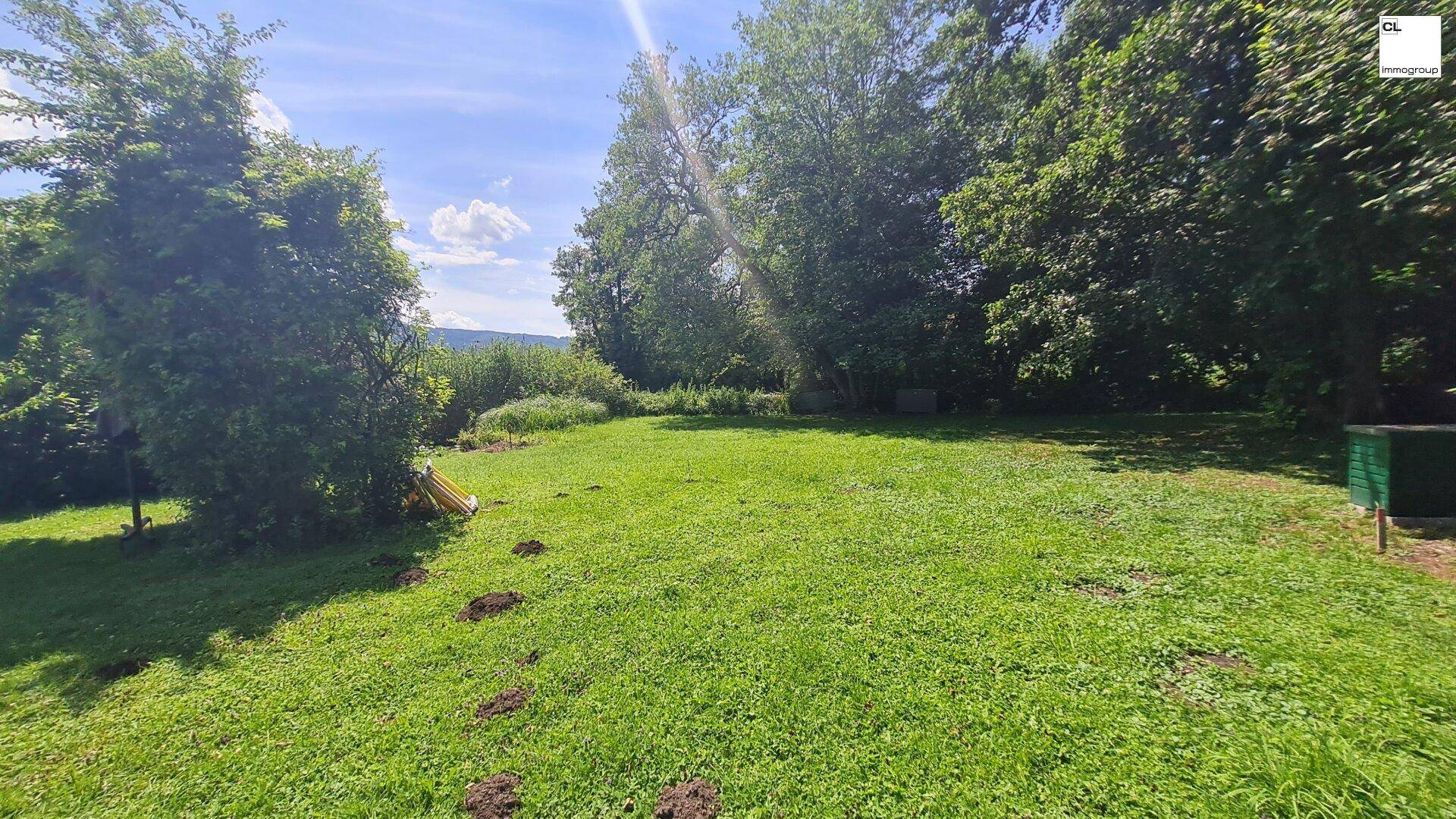 Weitläufige, sonnige Rasenfläche mit altem Baumbestand, ideal für Entspannung und Freizeitaktivitäten im Grünen.