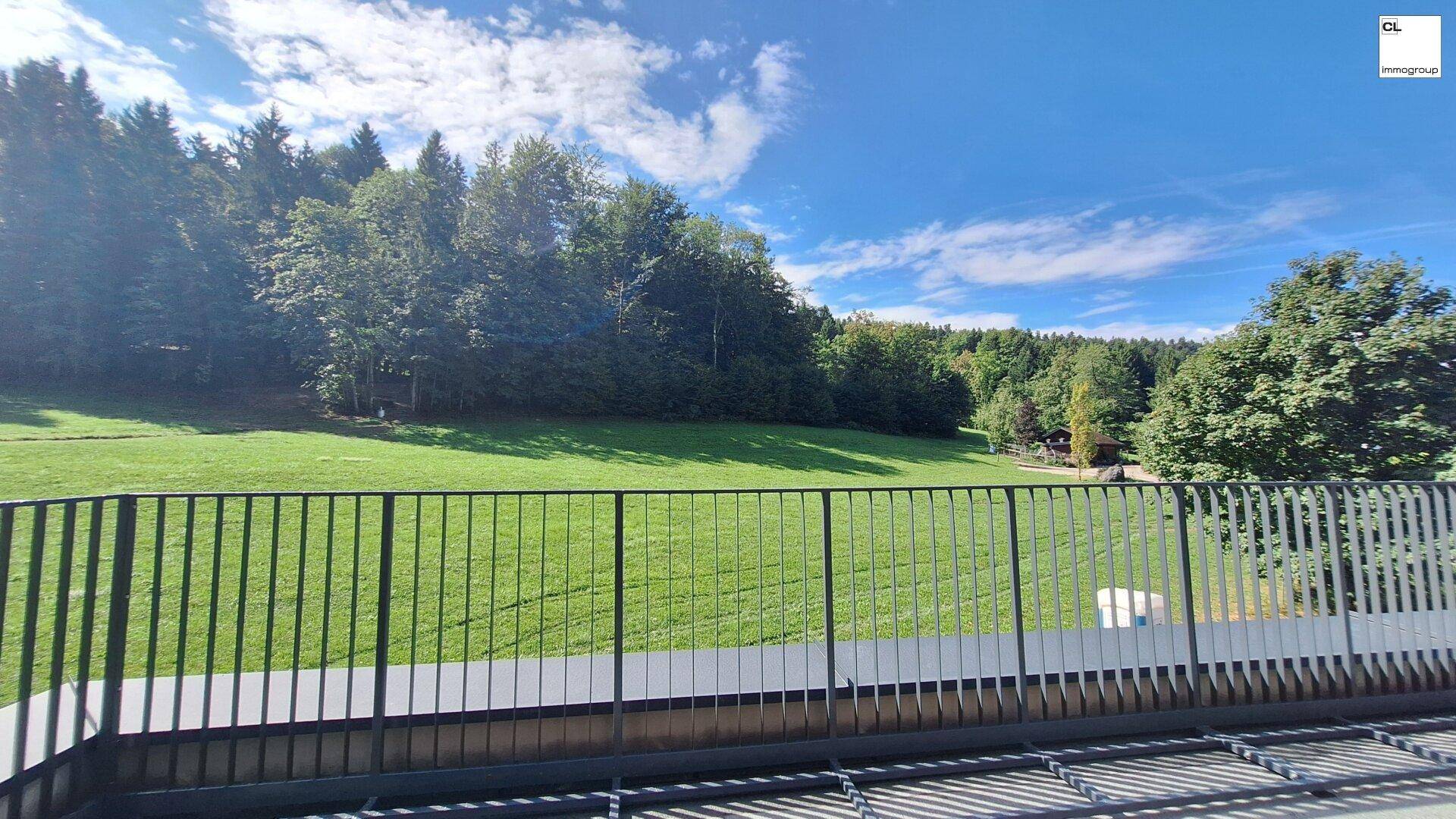 Blick von einem Balkon auf eine große grüne Wiese und den angrenzenden Wald.