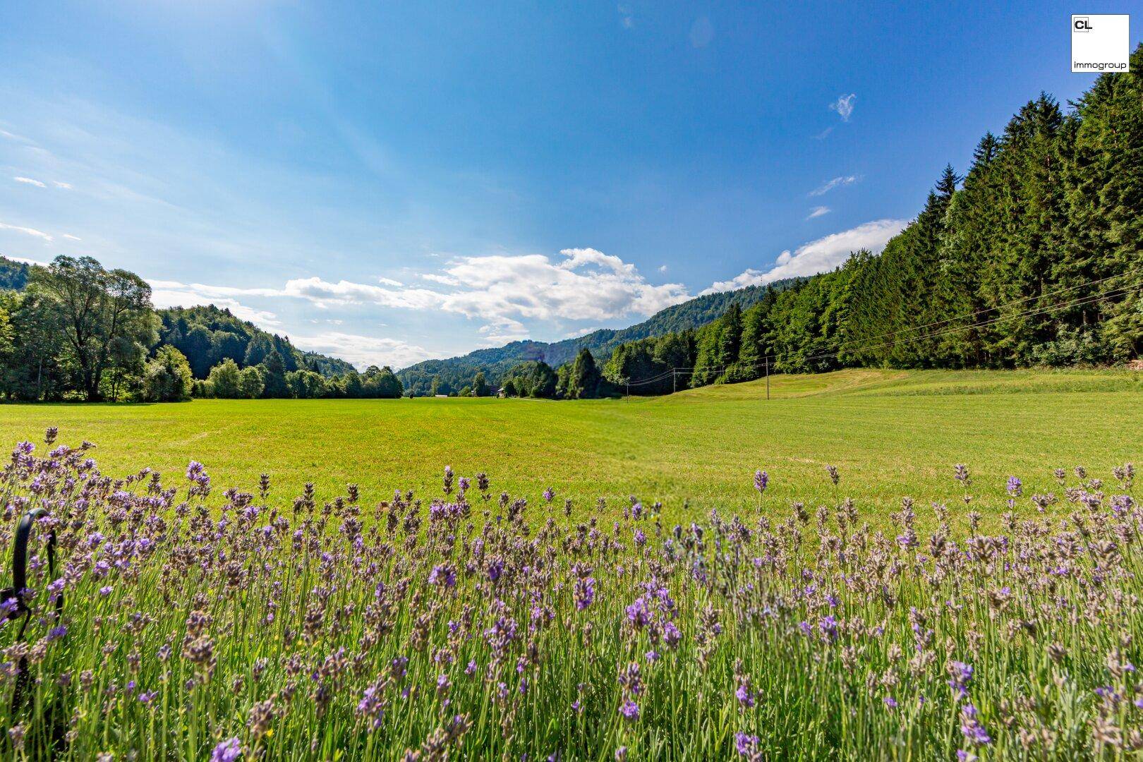 Weitläufige grüne Landschaft mit blühenden Blumenfeldern und bewaldeten Bergen im Hintergrund unter blauem Himmel.
