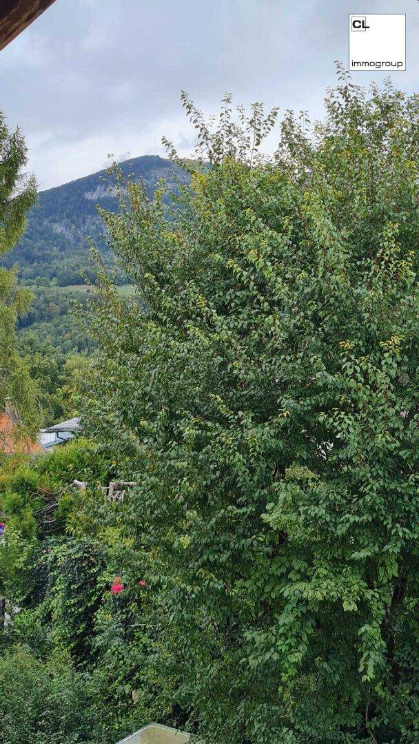 Grüner Ausblick auf Bäume und einen Berg, der die natürliche Umgebung betont.