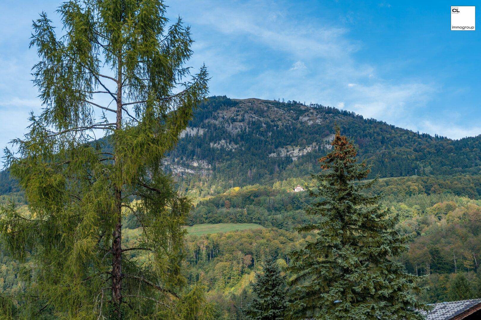 Malerischer Blick auf bewaldete Berge und grüne Landschaft unter blauem Himmel.