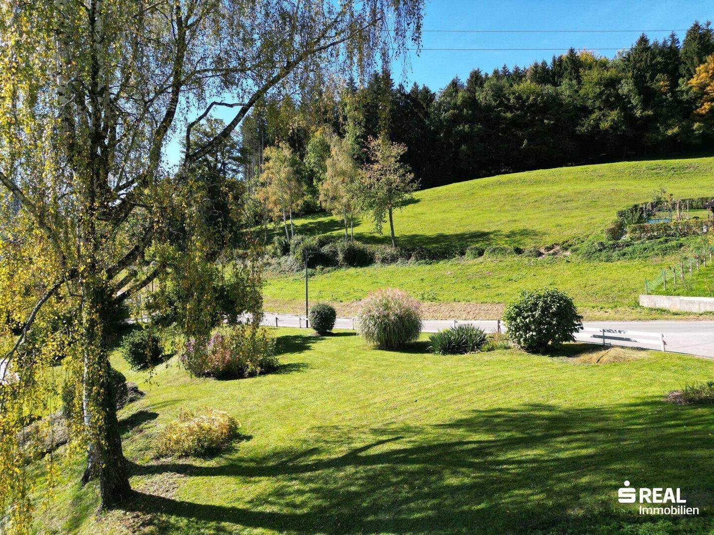 Baugrundstück in Aussichtslage in Göfis! - Ansicht 4