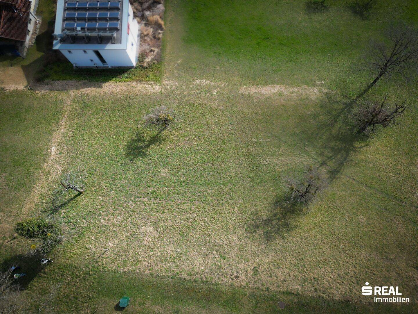 Vogelperspektive auf eine grüne Wiese mit einem Gebäude, das Solarpaneele auf dem Dach trägt.
