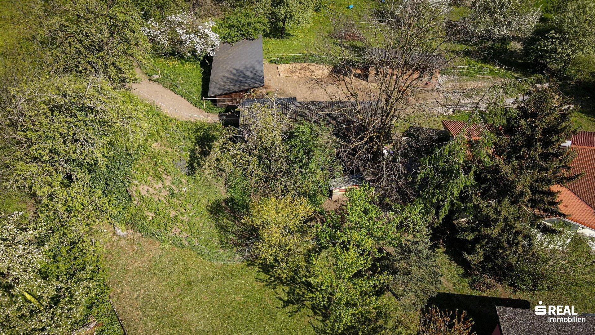 Traumhaftes Baugrundstück in Weiler - Ansicht 6