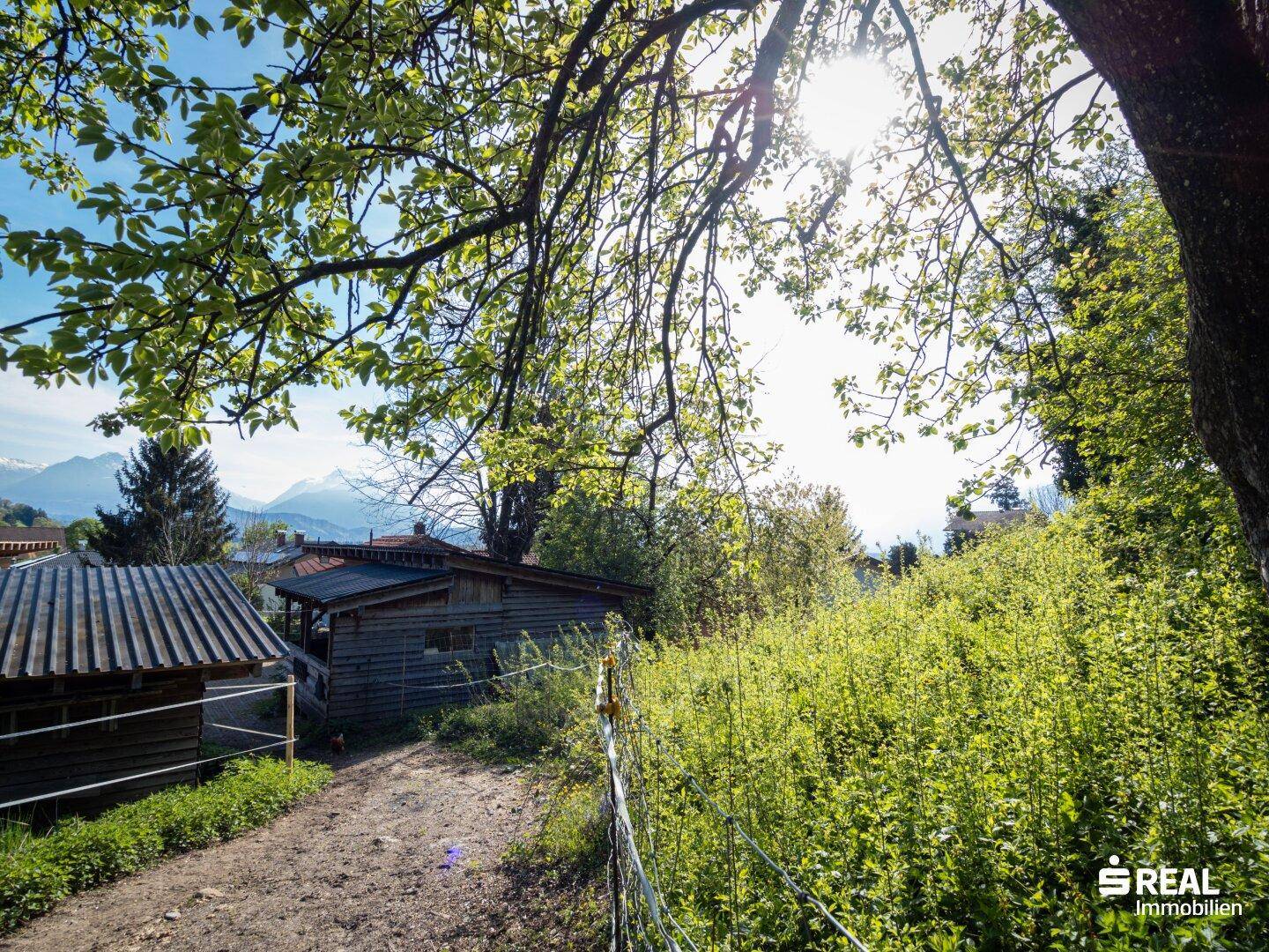 Sonnendurchfluteter Weg führt zu rustikalen Holzgebäuden, umgeben von üppiger Vegetation.