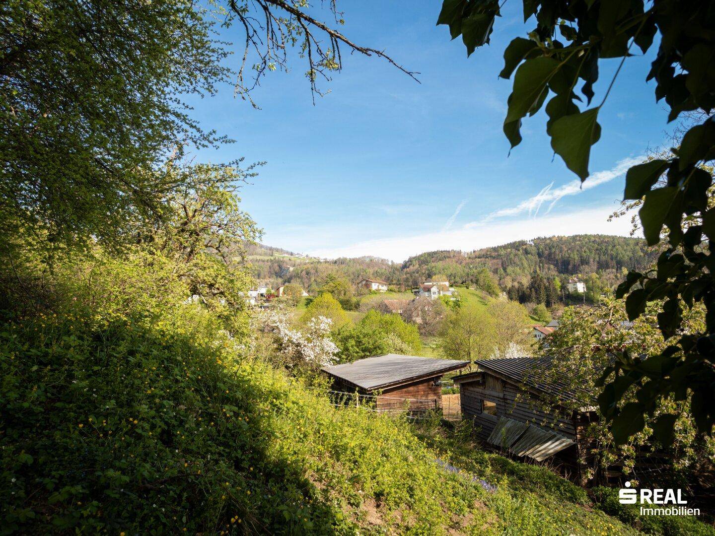 Malerischer Ausblick über ein grünes Tal mit verstreuten Häusern und bewaldeten Hügeln.