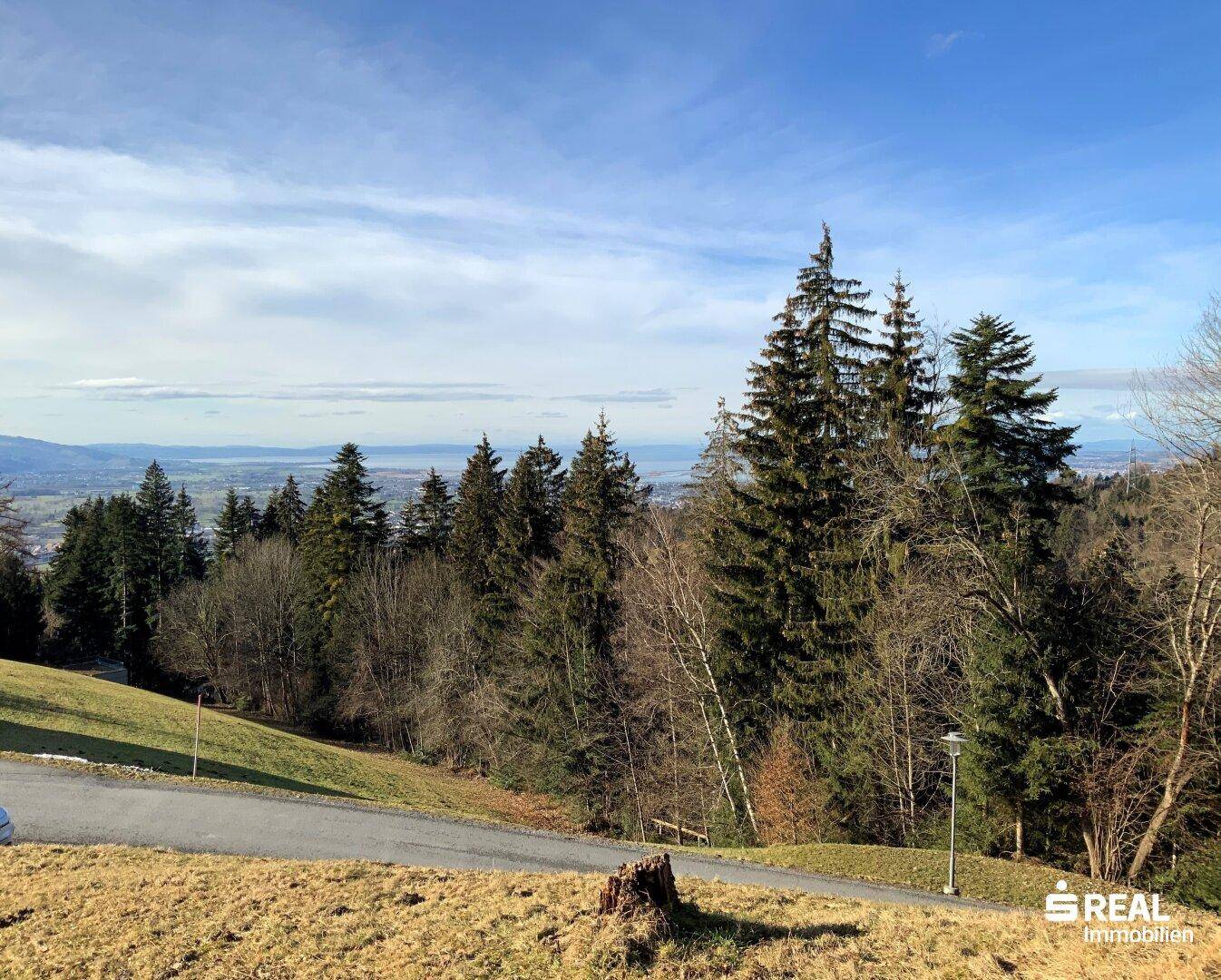 Weitläufiger Blick über bewaldete Hügel und einen See in der Ferne unter einem klaren Himmel.