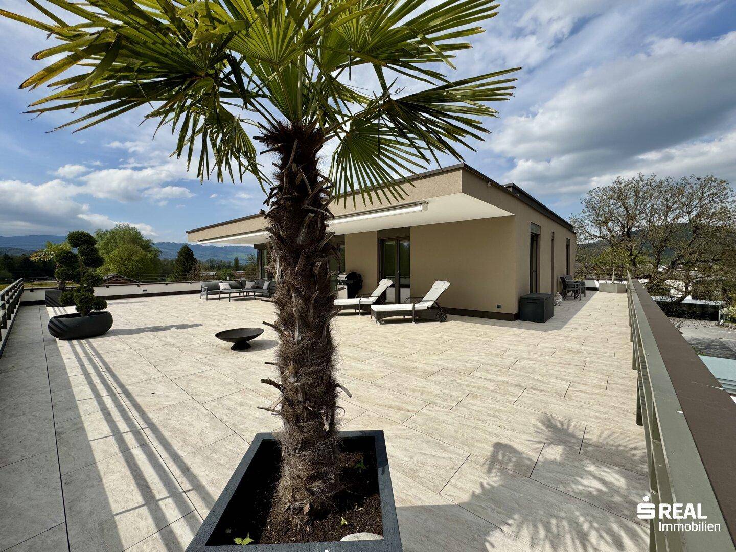Große, sonnige Dachterrasse mit Palmen, Liegestühlen und weitem Blick in die Landschaft.