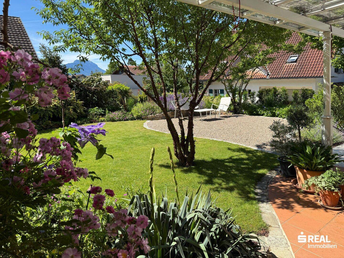 Sonniger Garten mit Rasenfläche, Kiesbereich und blühenden Pflanzen, umgeben von Bäumen.