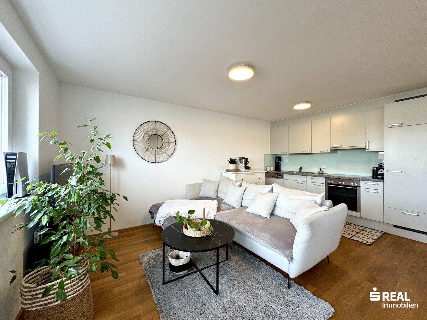 Heller Wohnbereich mit Sofa, Pflanzen und integrierter moderner Küche.