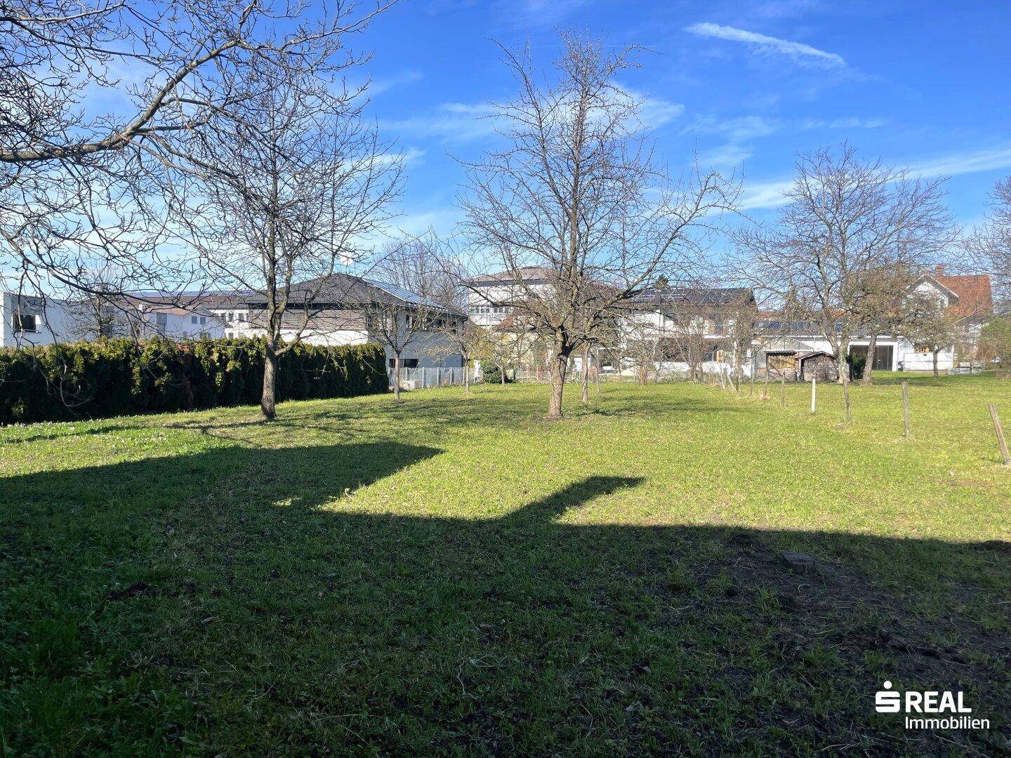 Große, sonnige Rasenfläche mit Bäumen und Hecke, umgeben von Wohnbebauung.