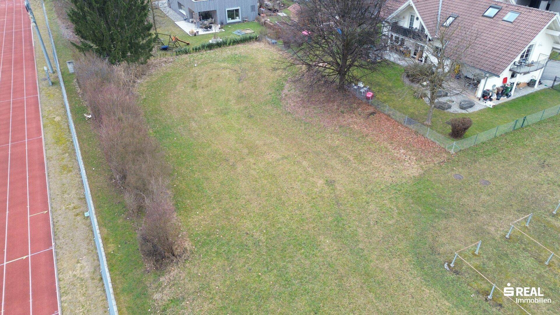 Weitläufiges Grundstück mit Rasen, einer dichten Hecke und angrenzenden Wohn- und Sportbereichen.