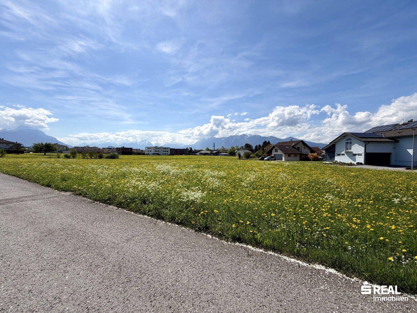 Weitläufige Wiese mit gelben Blumen auf dem Baugrundstück, umgeben von ländlicher Bebauung und Natur.