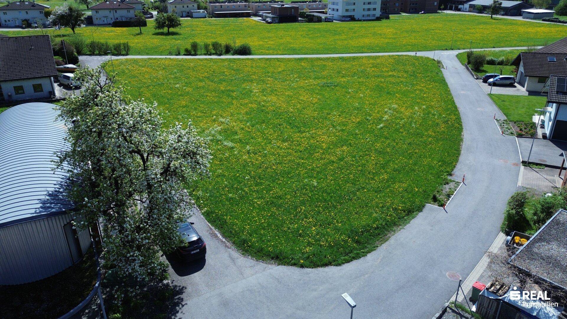 Attraktives Baugrundstück in Klaus (Feldkirch) – 610 m² in hervorragender Lage - Ansicht 2