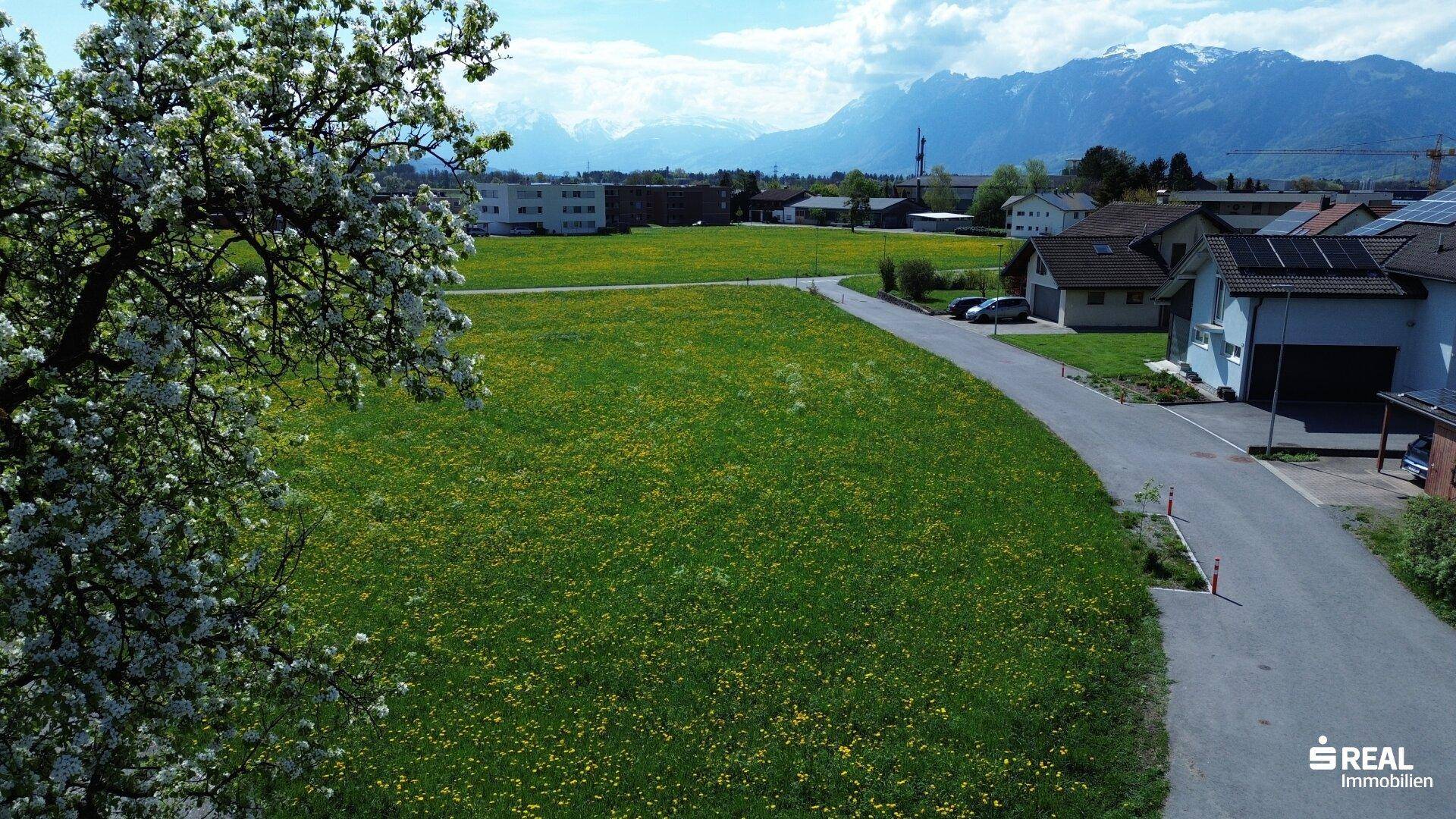 Attraktives Baugrundstück in Klaus (Feldkirch) – 610 m² in hervorragender Lage - Ansicht 6