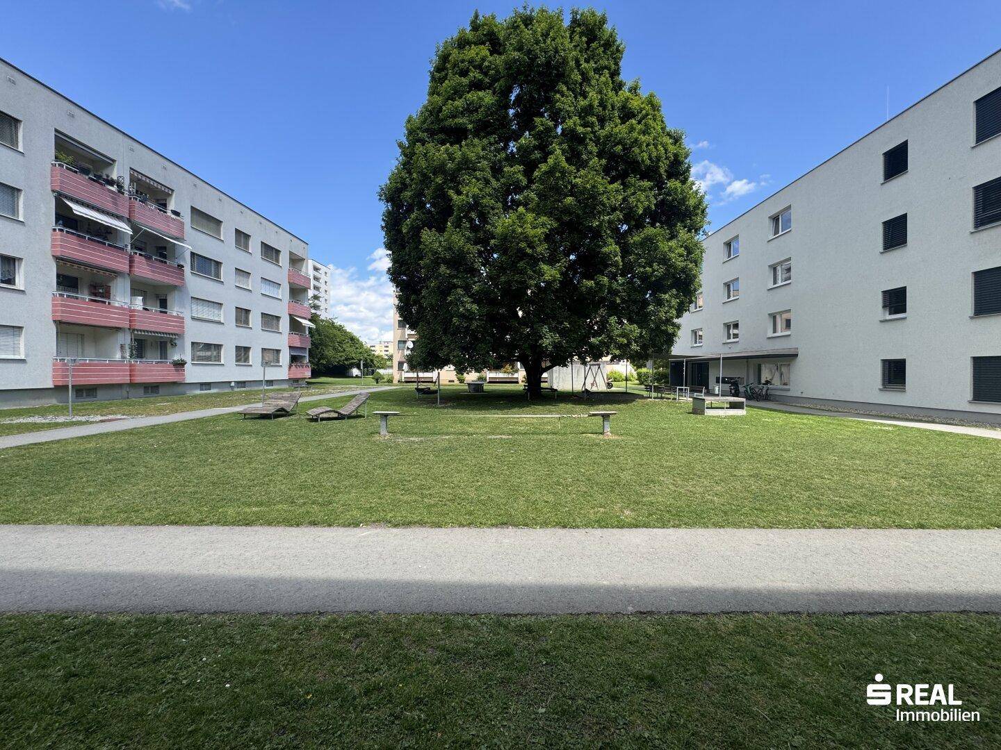 Grüne Außenanlage mit Rasenfläche und großem Baum zwischen den Wohngebäuden.