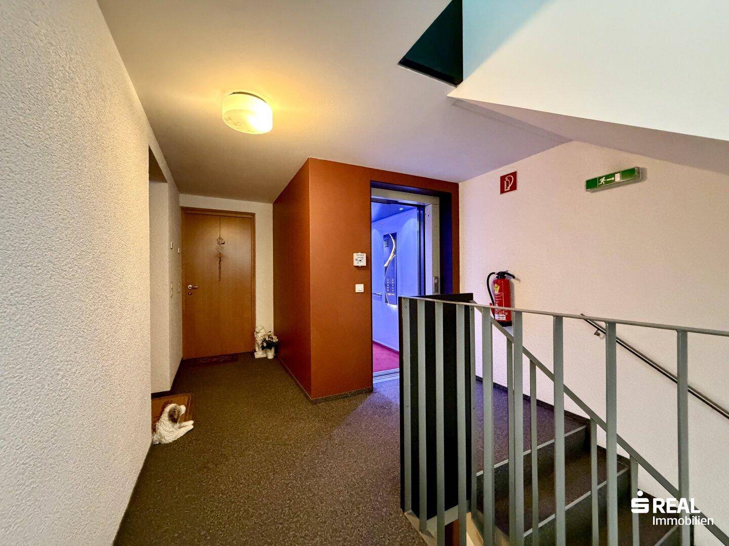 Helles Treppenhaus mit modernem Aufzug und Zugang zu den einzelnen Wohneinheiten.