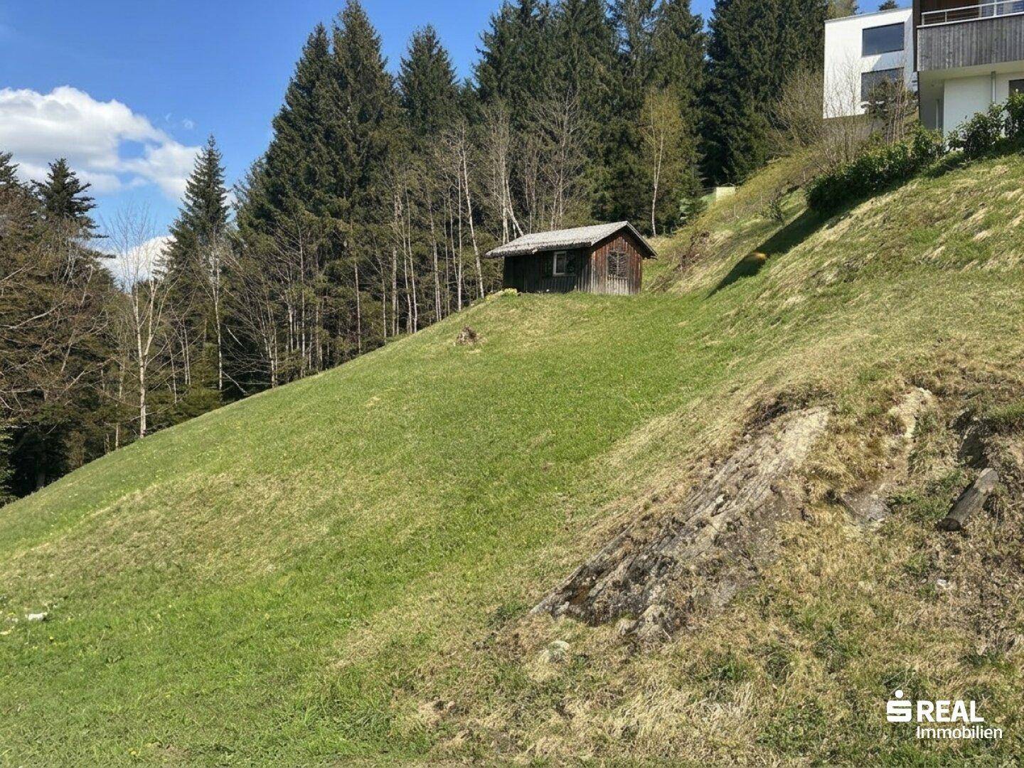 Grüner Hang mit einem kleinen Holzschuppen und Bäumen im Hintergrund unter blauem Himmel.