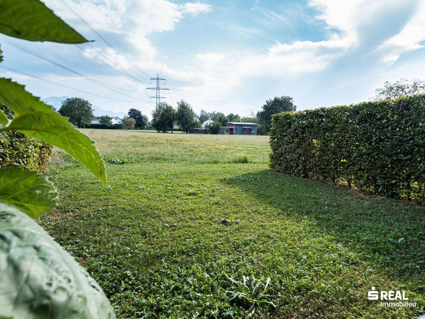 Weitläufige Grünfläche mit Hecke und Strommasten unter blauem Himmel.