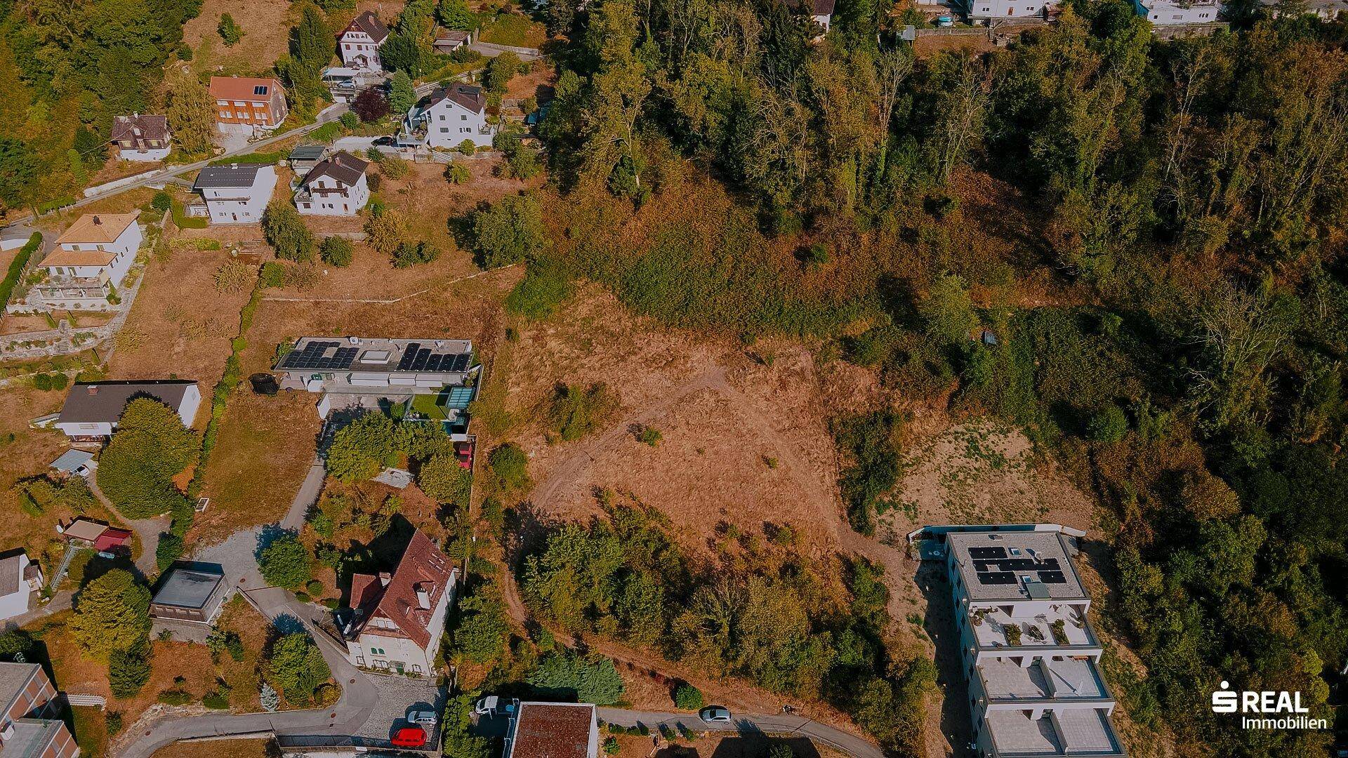 Großes, offenes Grundstück an einem bewaldeten Hang, umgeben von Wohnbebauung und dichter Vegetation.