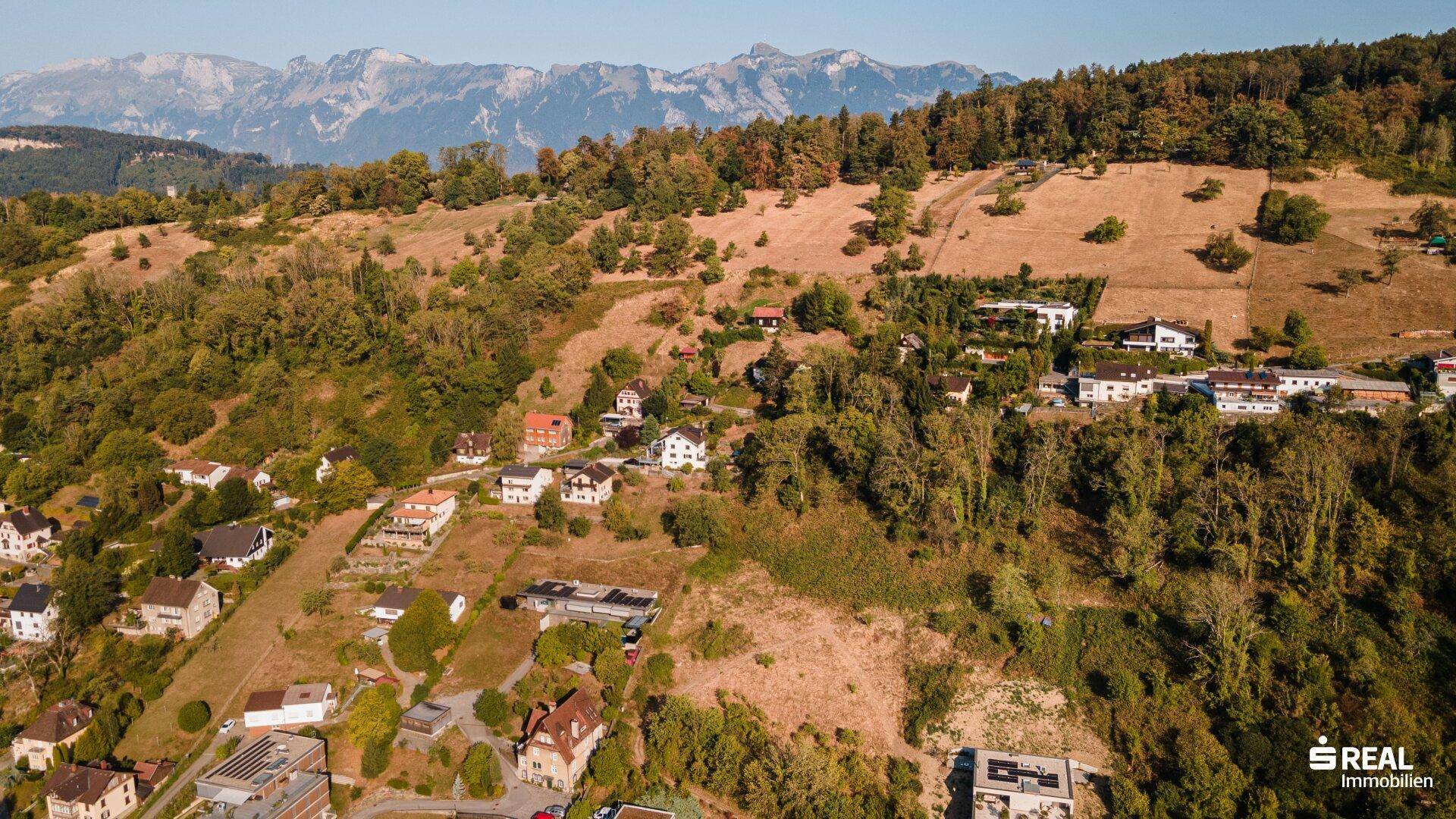 Panoramablick auf eine bewaldete Hanglandschaft mit einzelnen Häusern und einer imposanten Bergkette am Horizont.
