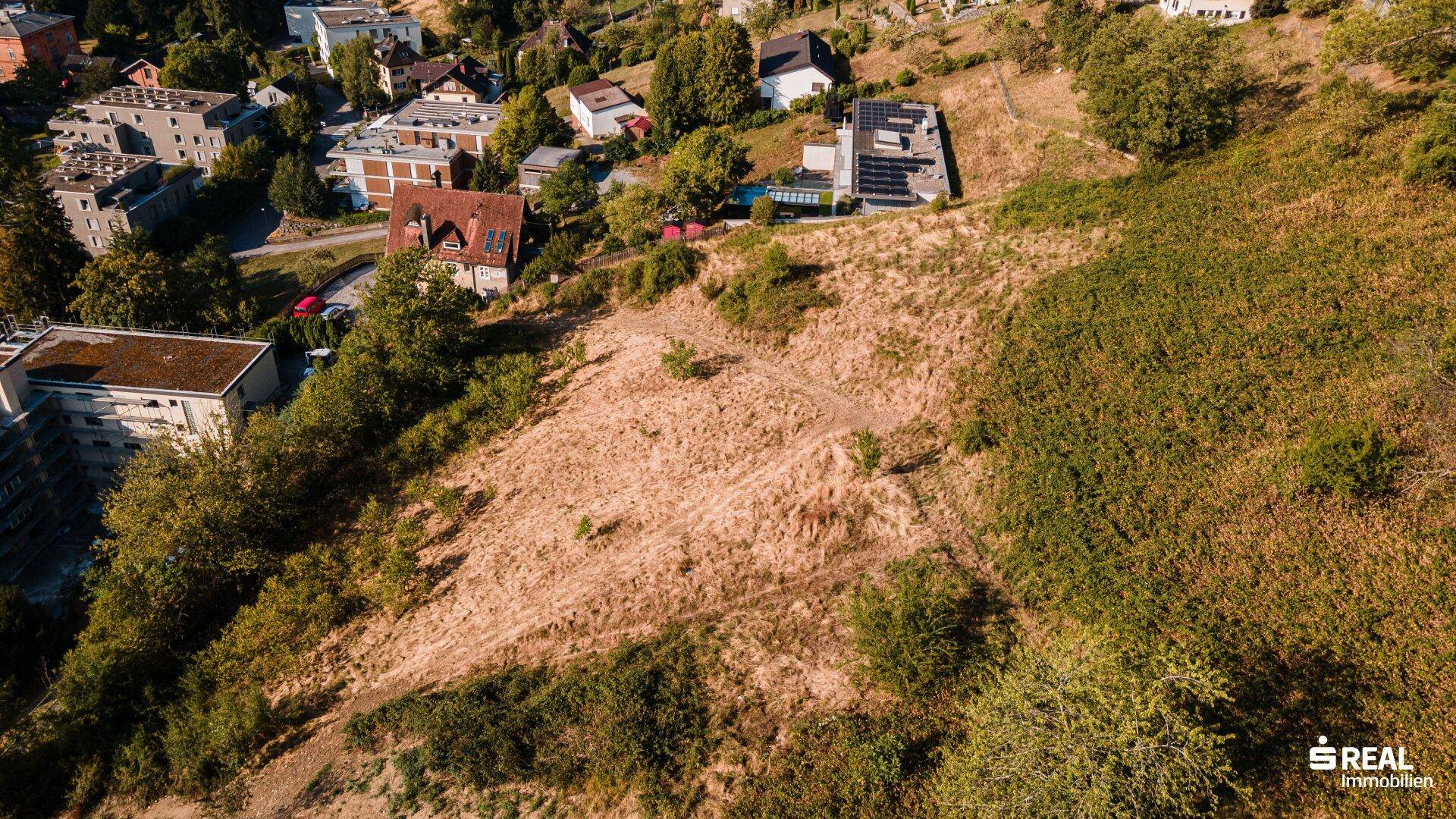 Unbebautes Grundstück an einem sonnigen Hang, umgeben von grüner Vegetation und einzelnen Wohnhäusern.