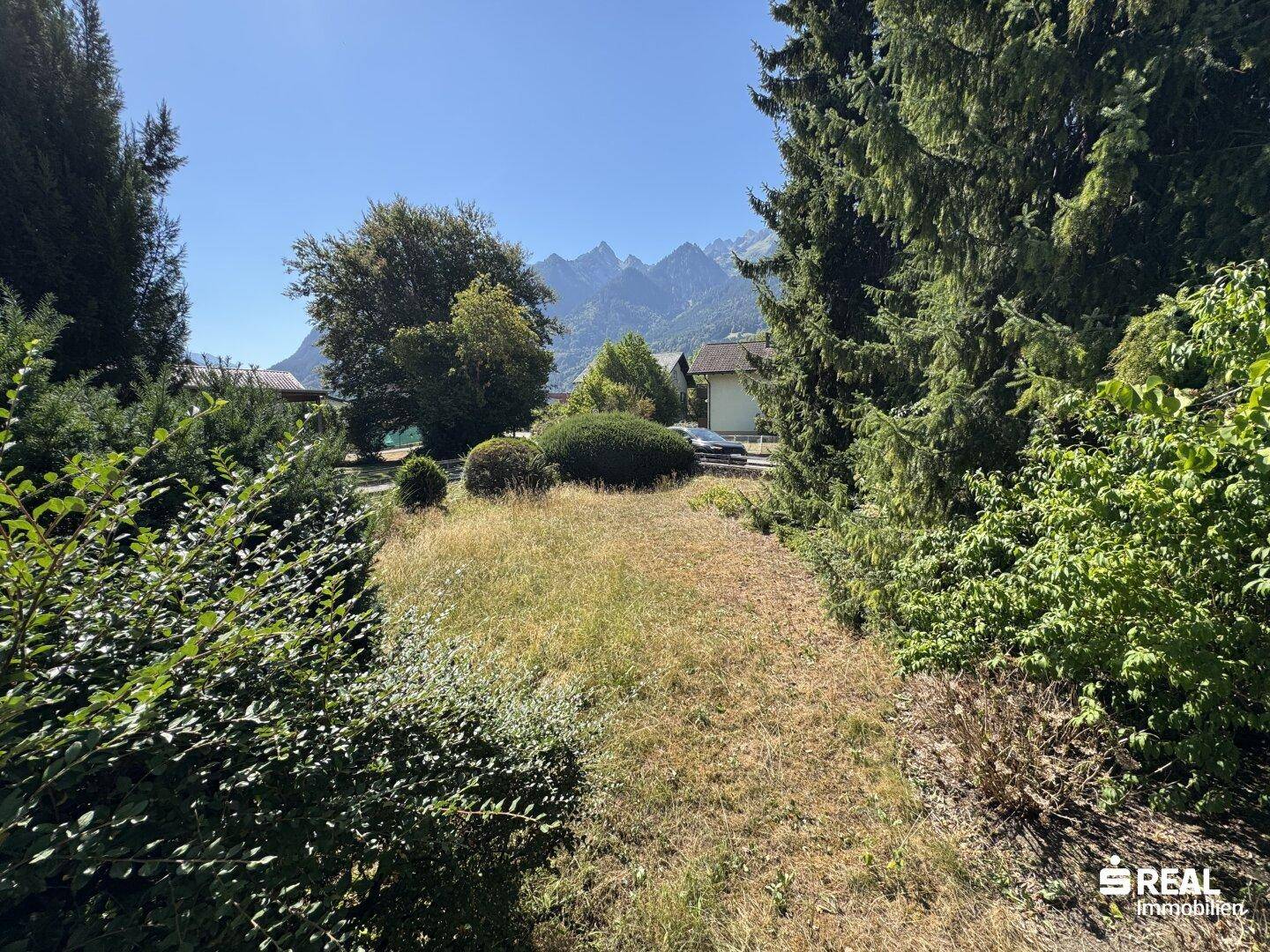 Blick in den Garten mit hohem Gras, umgeben von Bäumen und einem Bergblick in der Ferne.