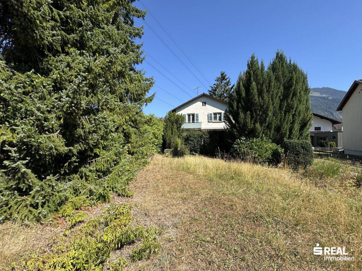 Blick auf den verwilderten Gartenbereich mit hohen Bäumen und dem Haus im Hintergrund.