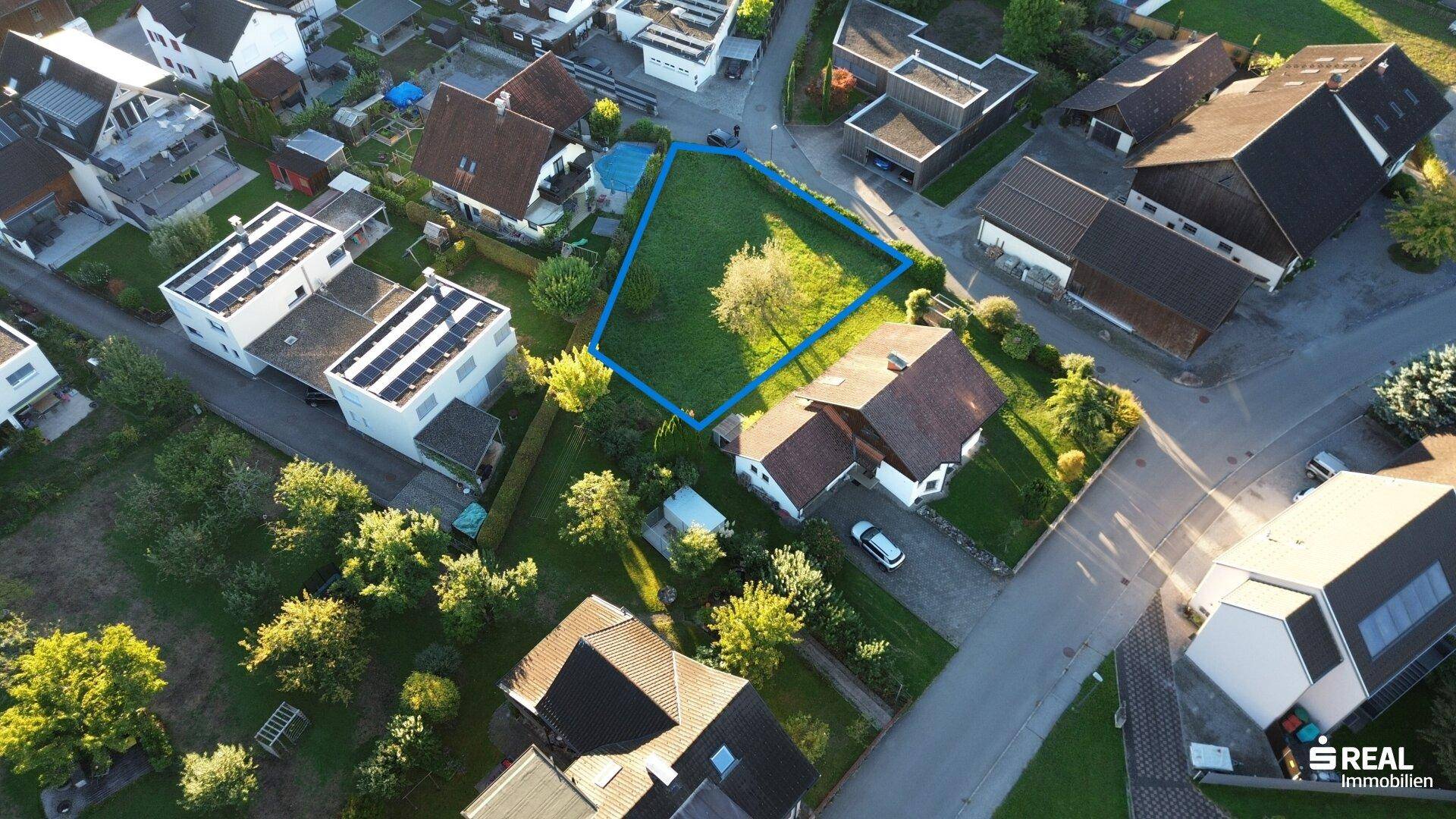 Klare Luftaufnahme eines grünen Grundstücks mit einem Baum, umgeben von Wohnhäusern.