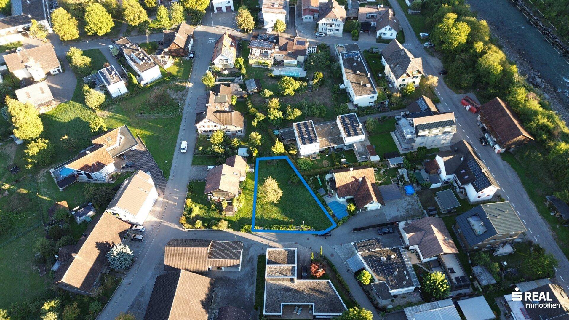 Luftaufnahme eines Grundstücks mit einem Baum, umgeben von Wohnbebauung und viel Grün.