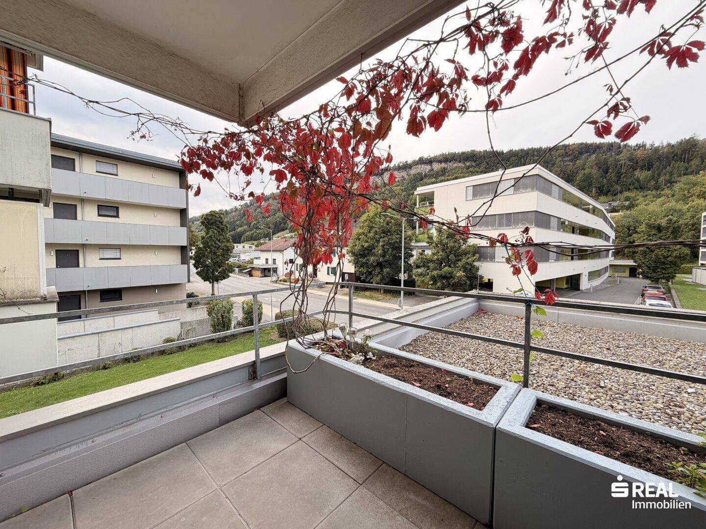 Balkon mit Pflanzenkübeln und weitem Blick auf die umliegenden Gebäude und Bäume.