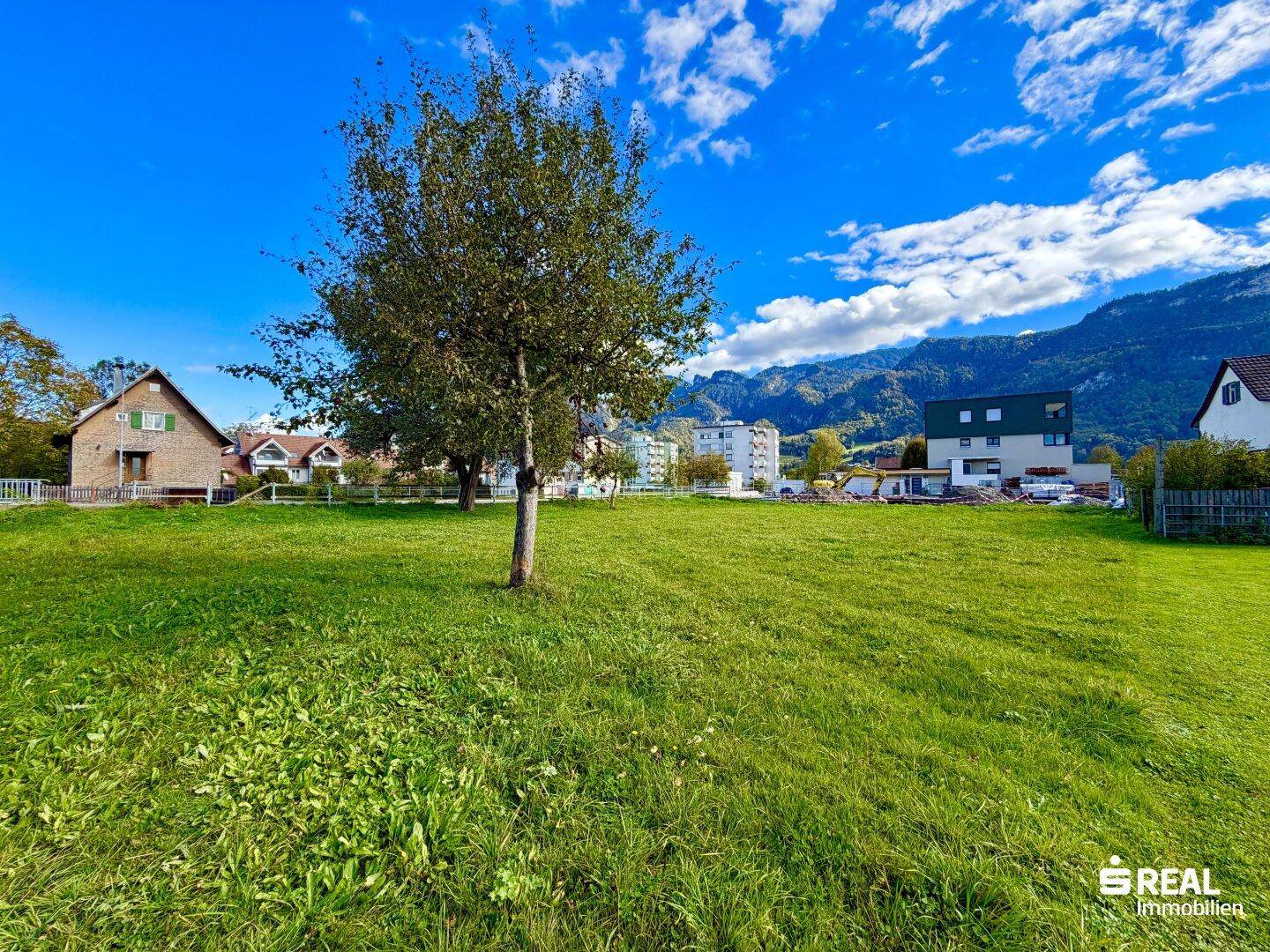 Bodennahaufnahme des grünen Grundstücks mit einem Baum, umgeben von Häusern und einer Bergkette.