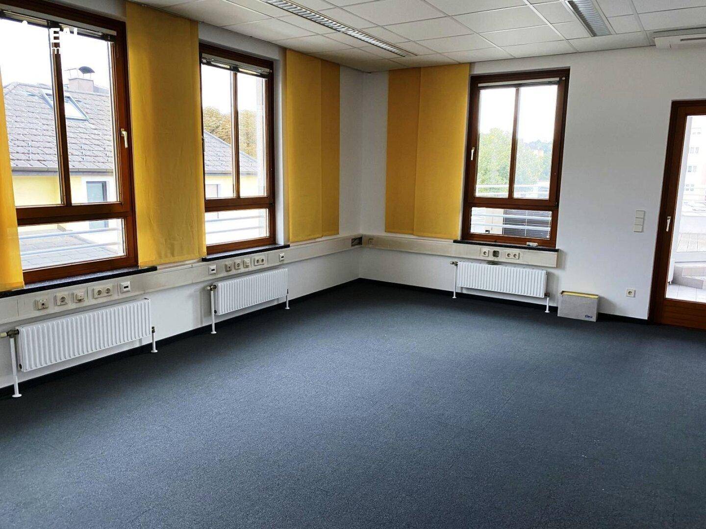 Geräumiges Büro mit dunkelgrauem Teppichboden, vielen Fenstern und gelben Rollos.
