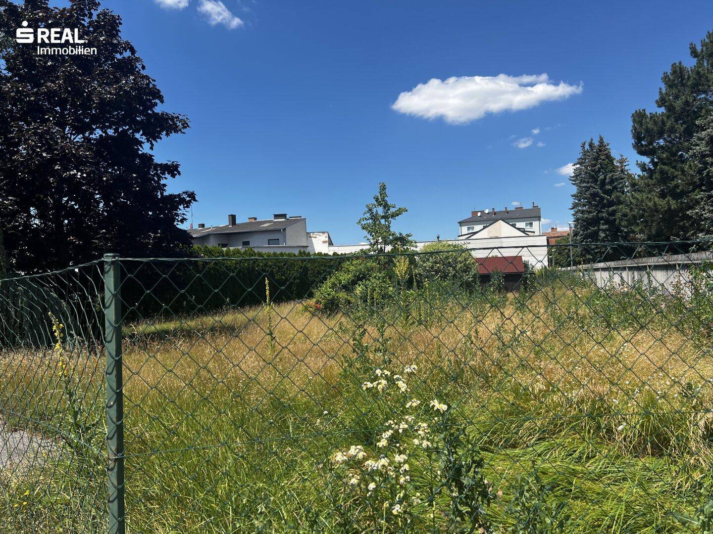 Weiterer Blick auf das ungenutzte Grundstück, durch den Zaun fotografiert, mit grüner Vegetation und Häusern.