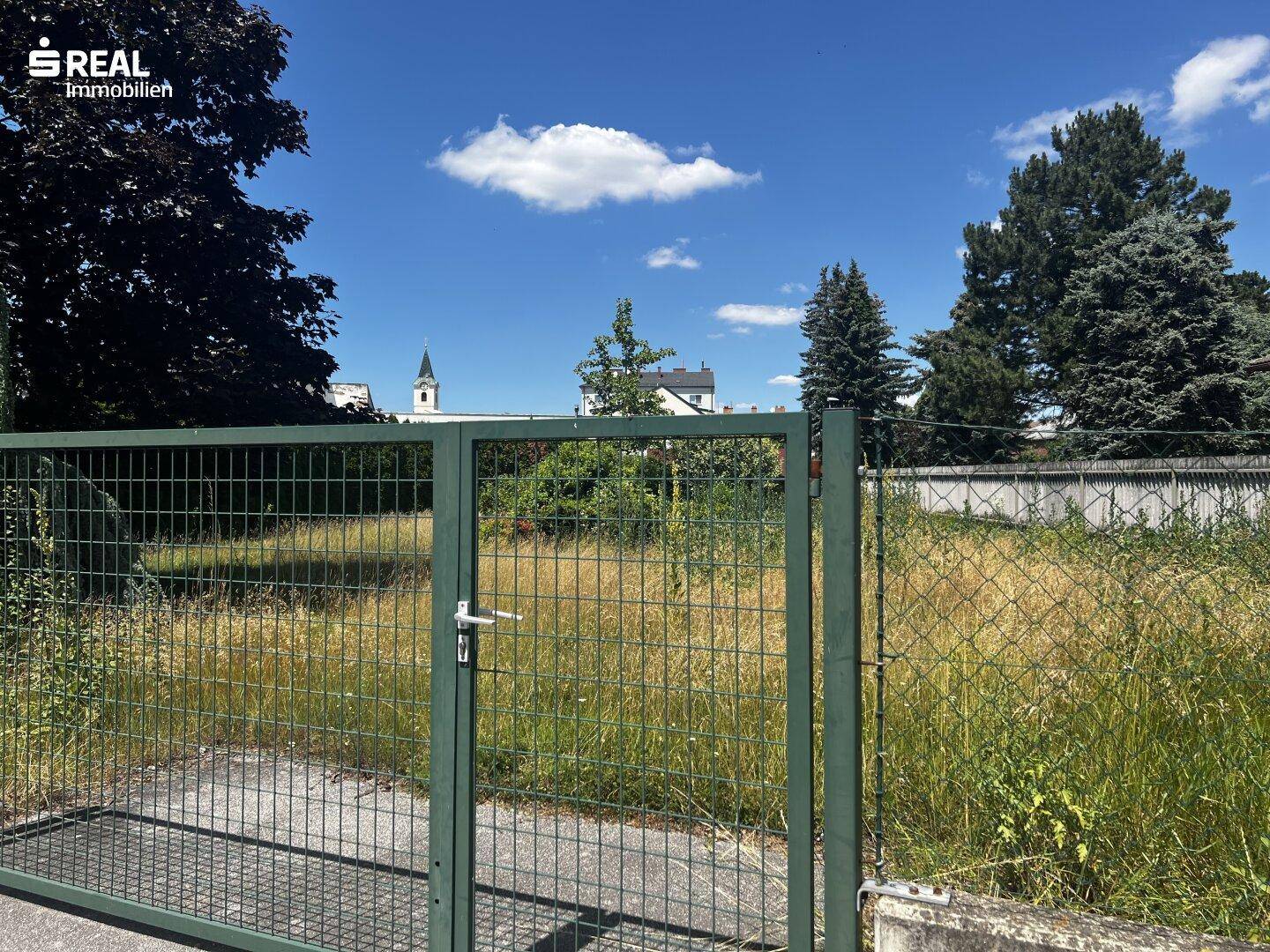 Das verwilderte Grundstück mit einem grünen Metalltor, umgeben von Vegetation und im Hintergrund Häusern.