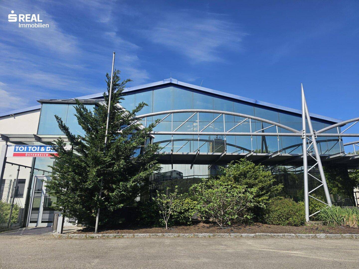 Moderne Geschäftsfassade mit großen Glasflächen und umgebender Bepflanzung unter blauem Himmel.