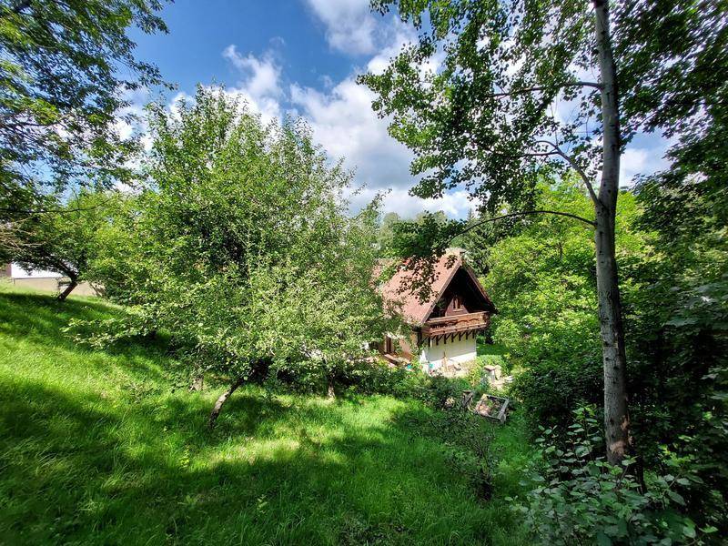 Blick vom oberen Garten - Obstgarten