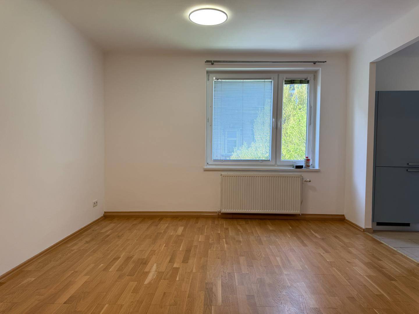 Zimmer 1