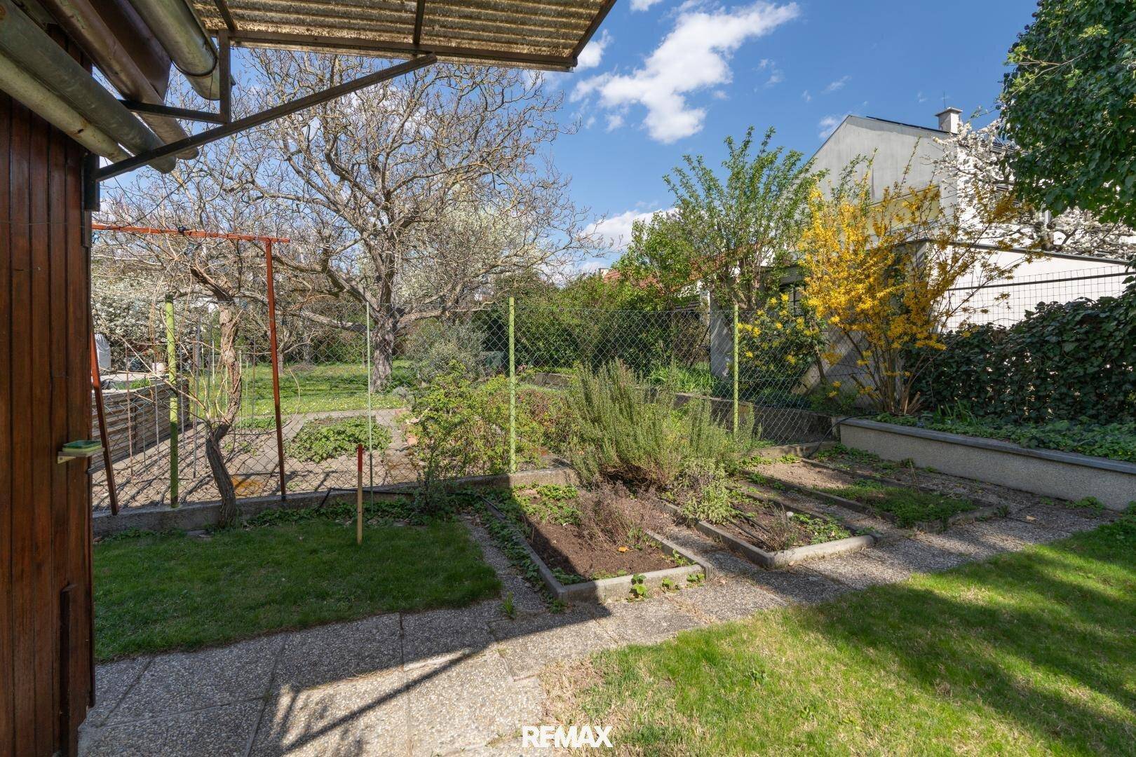 Gepflegter Gartenbereich mit Hochbeeten für Pflanzen und altem Baumbestand im Hintergrund.