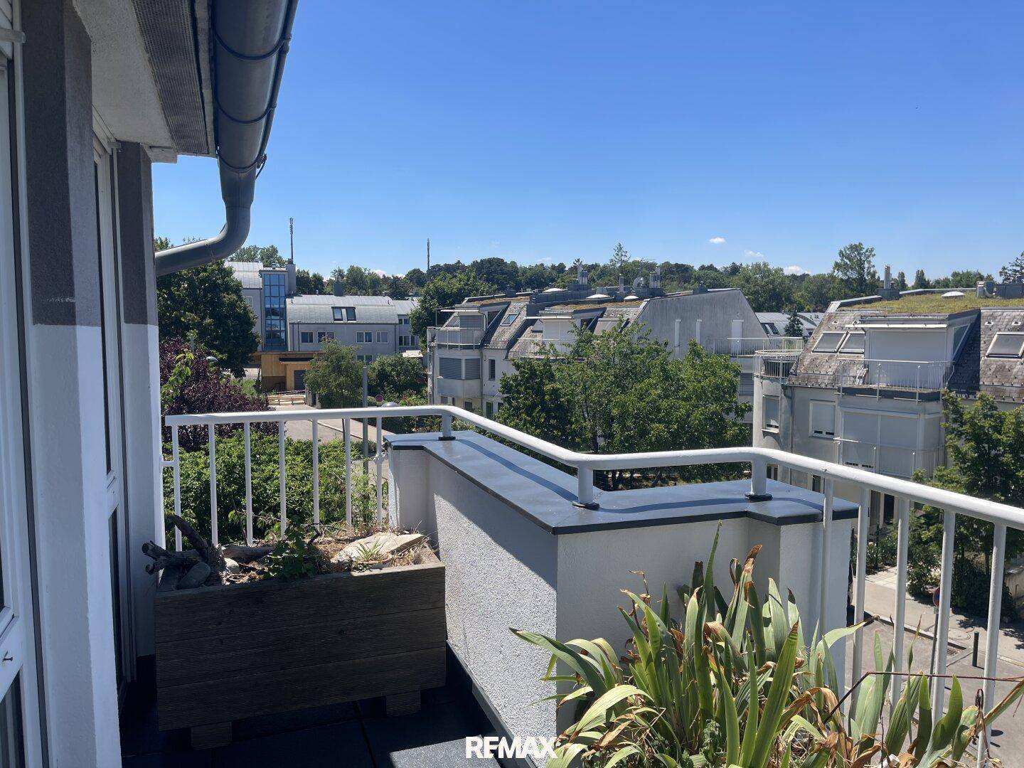 Balkon mit Pflanzenkübeln und Blick auf die Dächer der umliegenden Gebäude und Bäume.