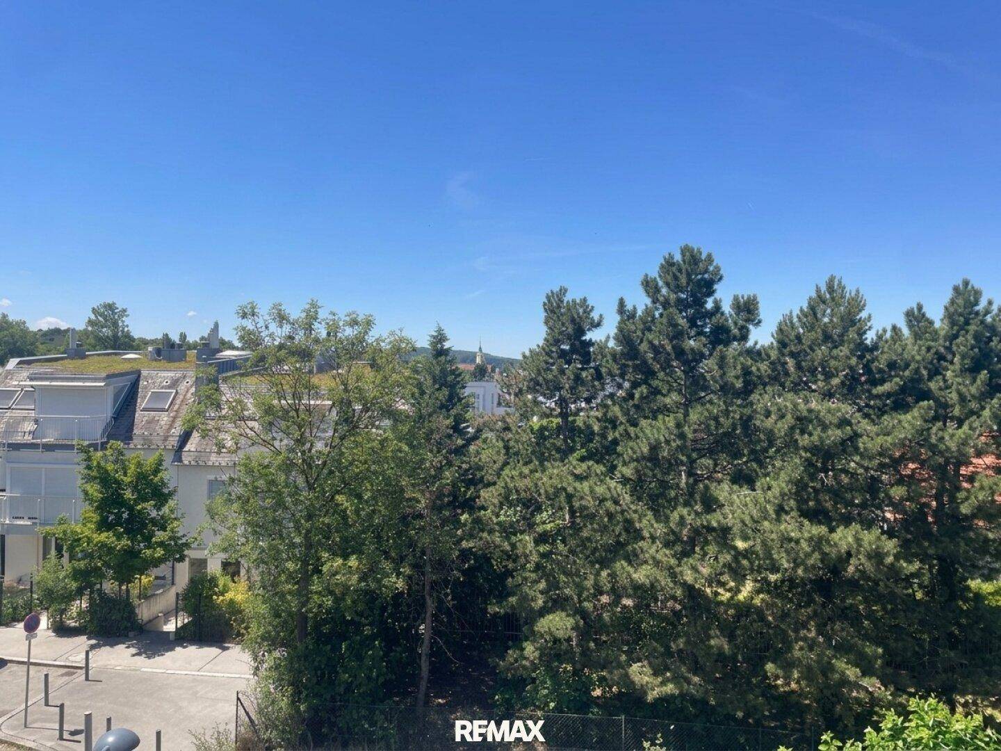 Weitläufiger Blick ins Grüne mit hohen Bäumen und Dächern der umliegenden Häuser an einem sonnigen Tag.