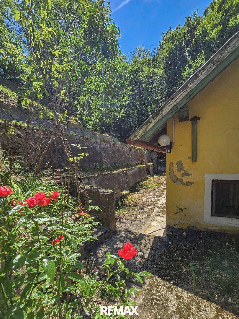Gelbes Haus mit roten Rosen im Vordergrund und terrassiertem Gartenbereich.
